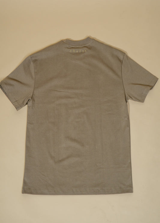 Men Grey Apricot T-Shirt €39,99